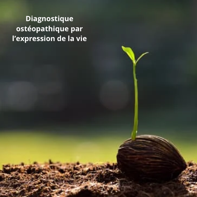 Capture d’écran, le 2025-07-10 à 07.20.58